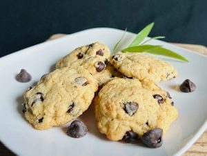 Carbkind Minis (Keto Chocolate Chip Cookies)